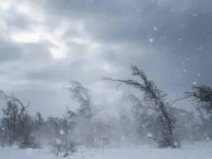 Сильный снег, ветр, метель!